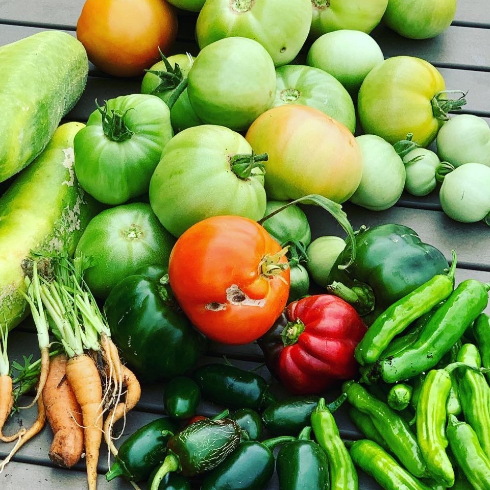 Lunch With The Seasons